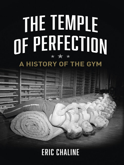 Cover image for The Temple of Perfection